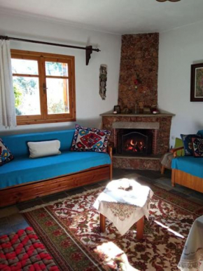 Persefoni's Traditional House